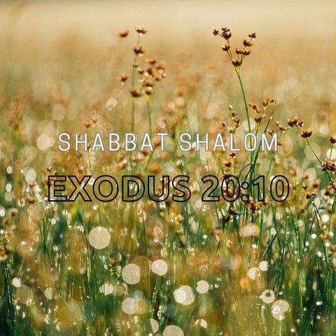 It's the Sabbath, take time, rest and be with the Father.