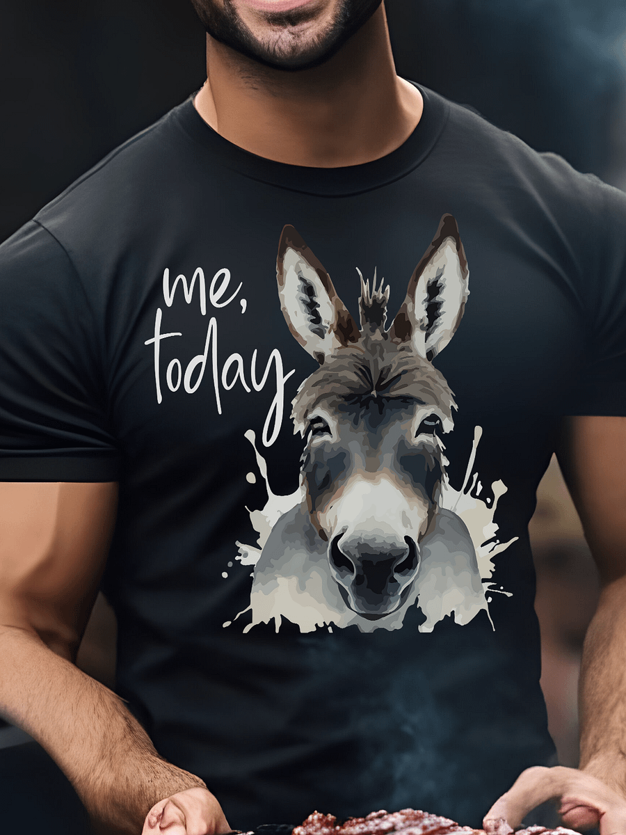 Me, today - Donkey product image (2)