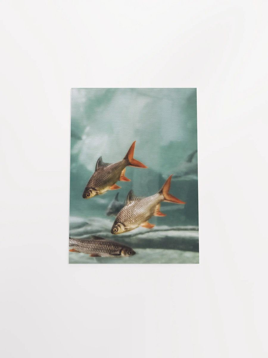 Aquatic Harmony Matte Poster product image (51)
