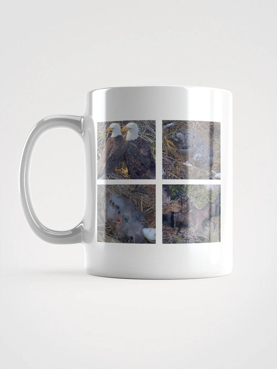 Moments | White Mug | Captiva Eagle Cam 2024-2025 product image (6)