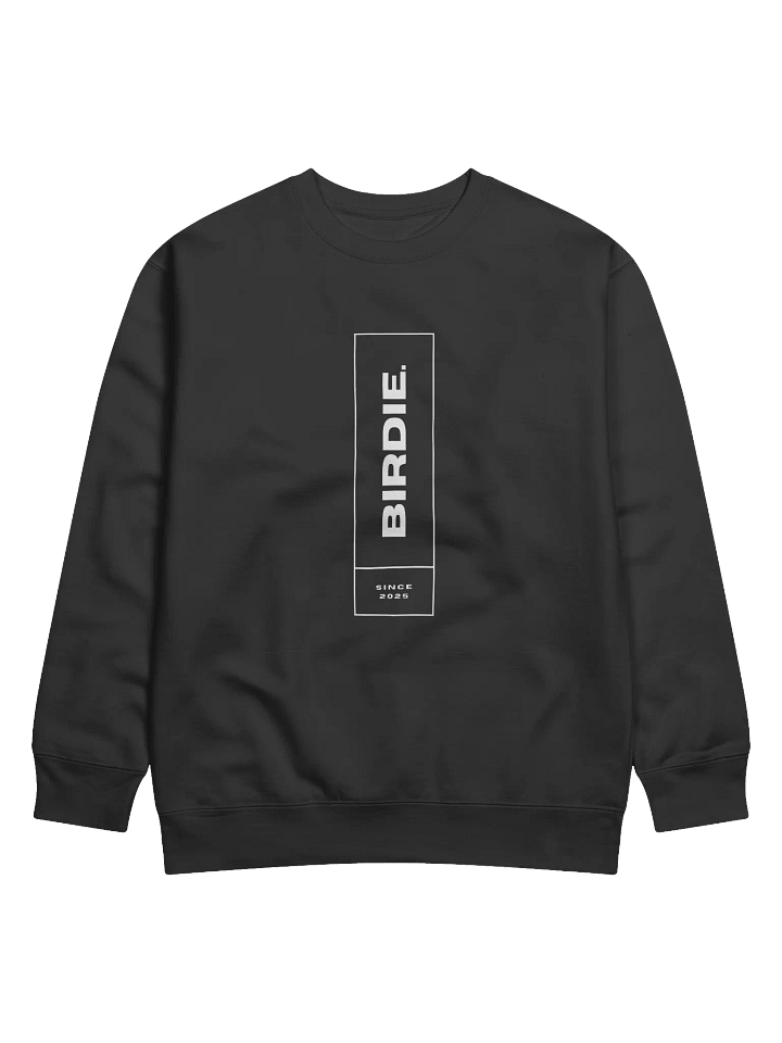 Premium Sweatshirt product image (1)