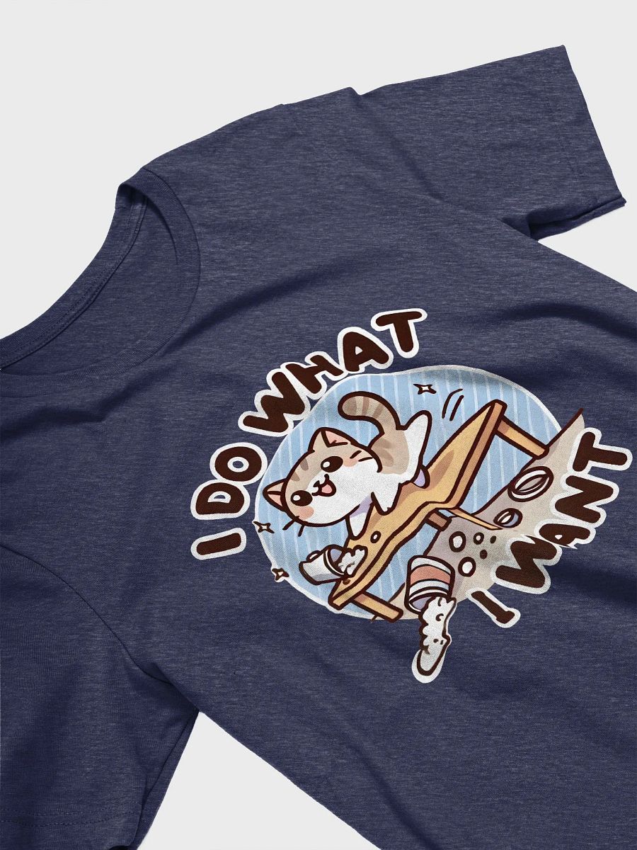I do what I want t-shirt product image (3)