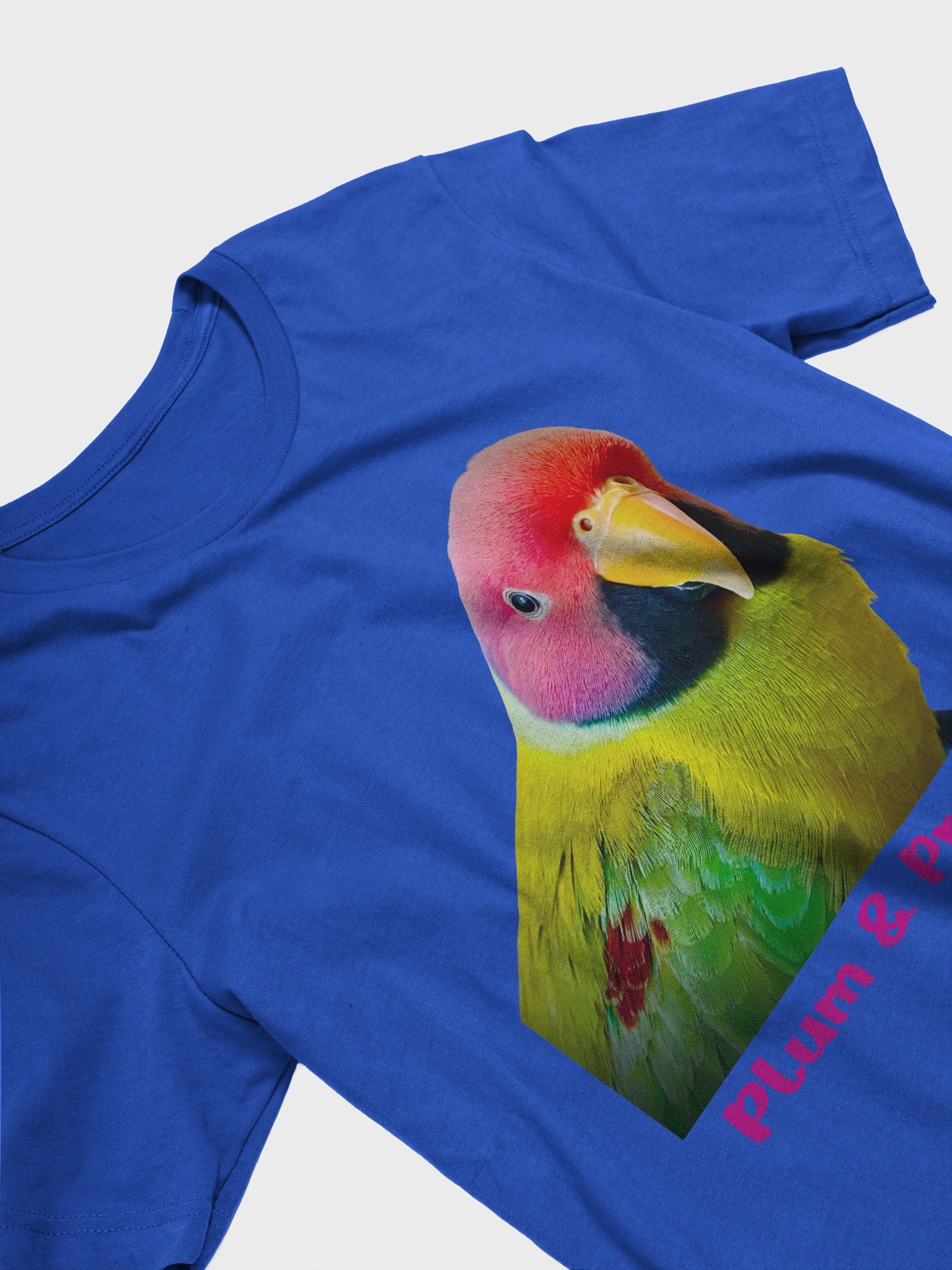 Plum-headed Parrot product image (2)