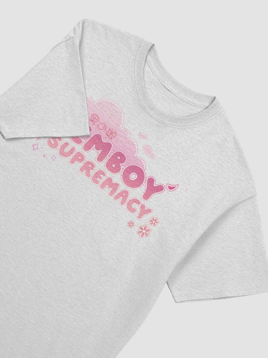 Pink Femboy Supremacy TShirt V2 product image (26)