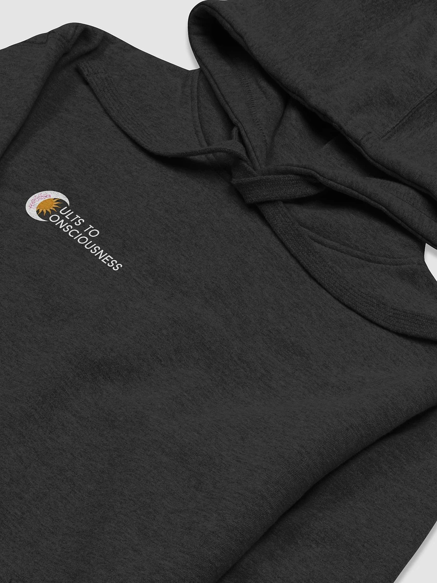 Cults to Consciousness Hoodie product image (14)