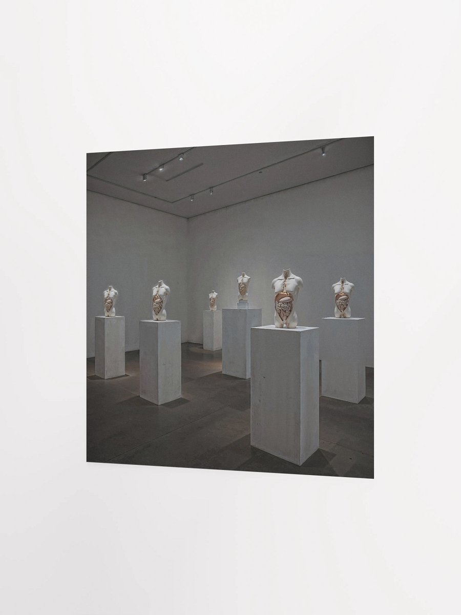 Anatomy of Silence Matte Poster product image (6)