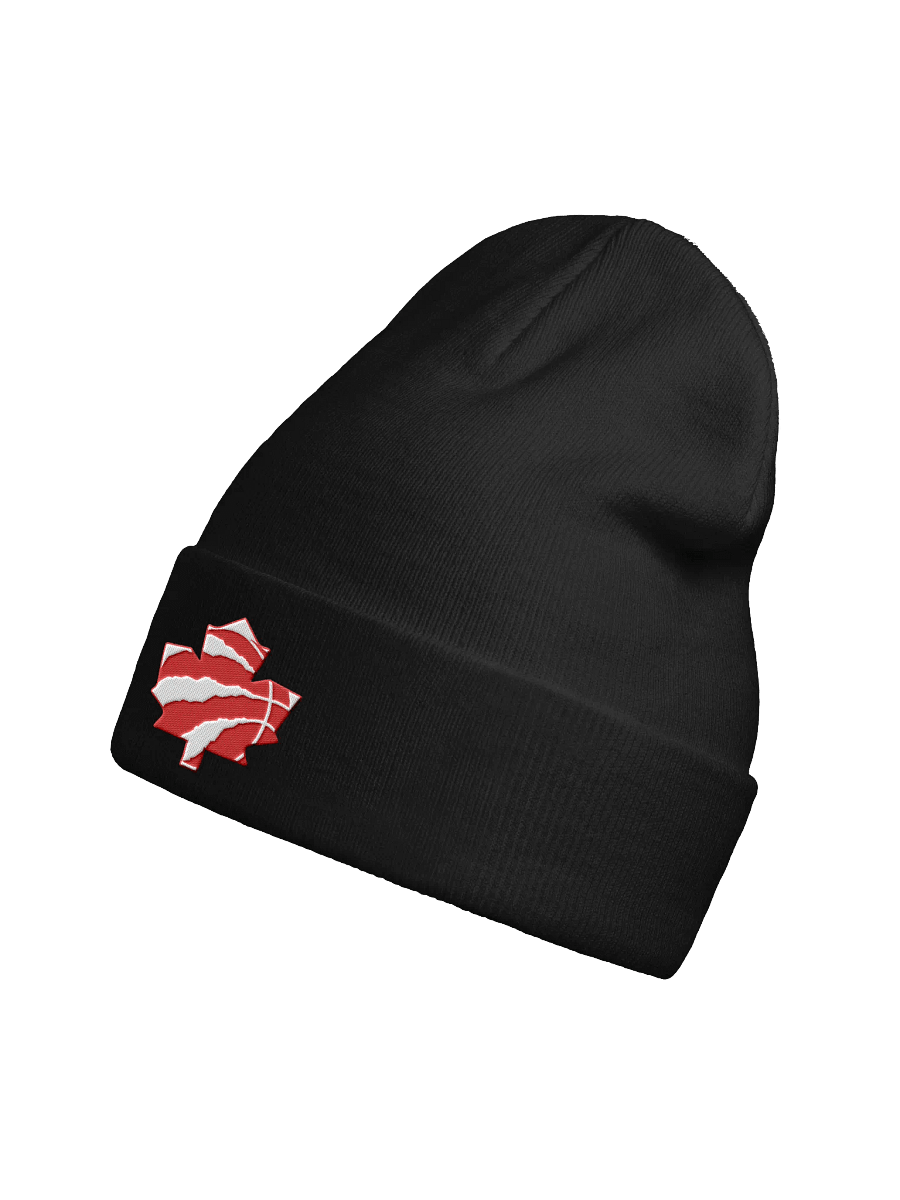 Toronto Dinos Beanie product image (2)