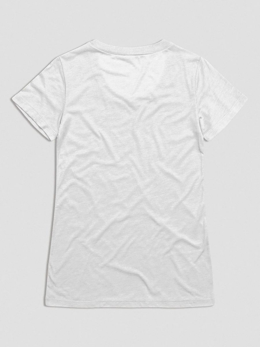 Vintage University T-Shirt (Women's Triblend) product image (6)