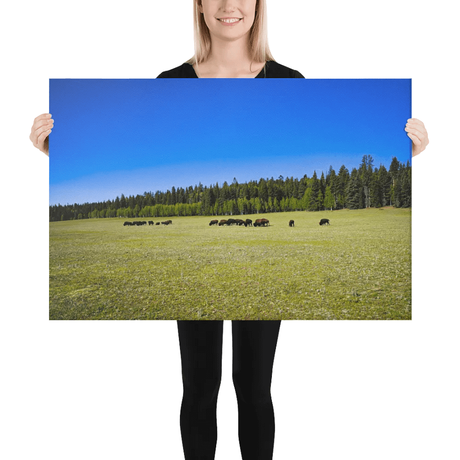 Grand Canyon Buffalo Graze product image (2)