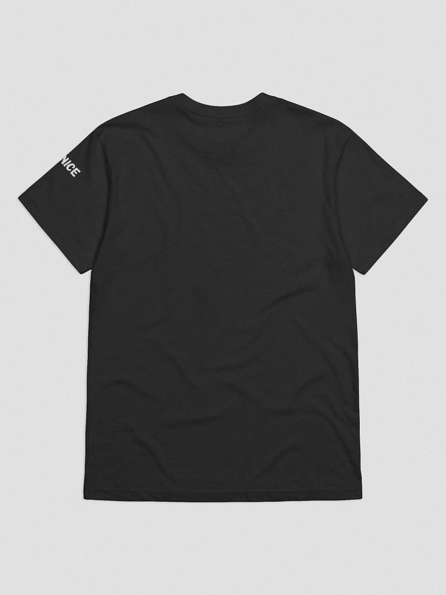The TESLAP product image (5)