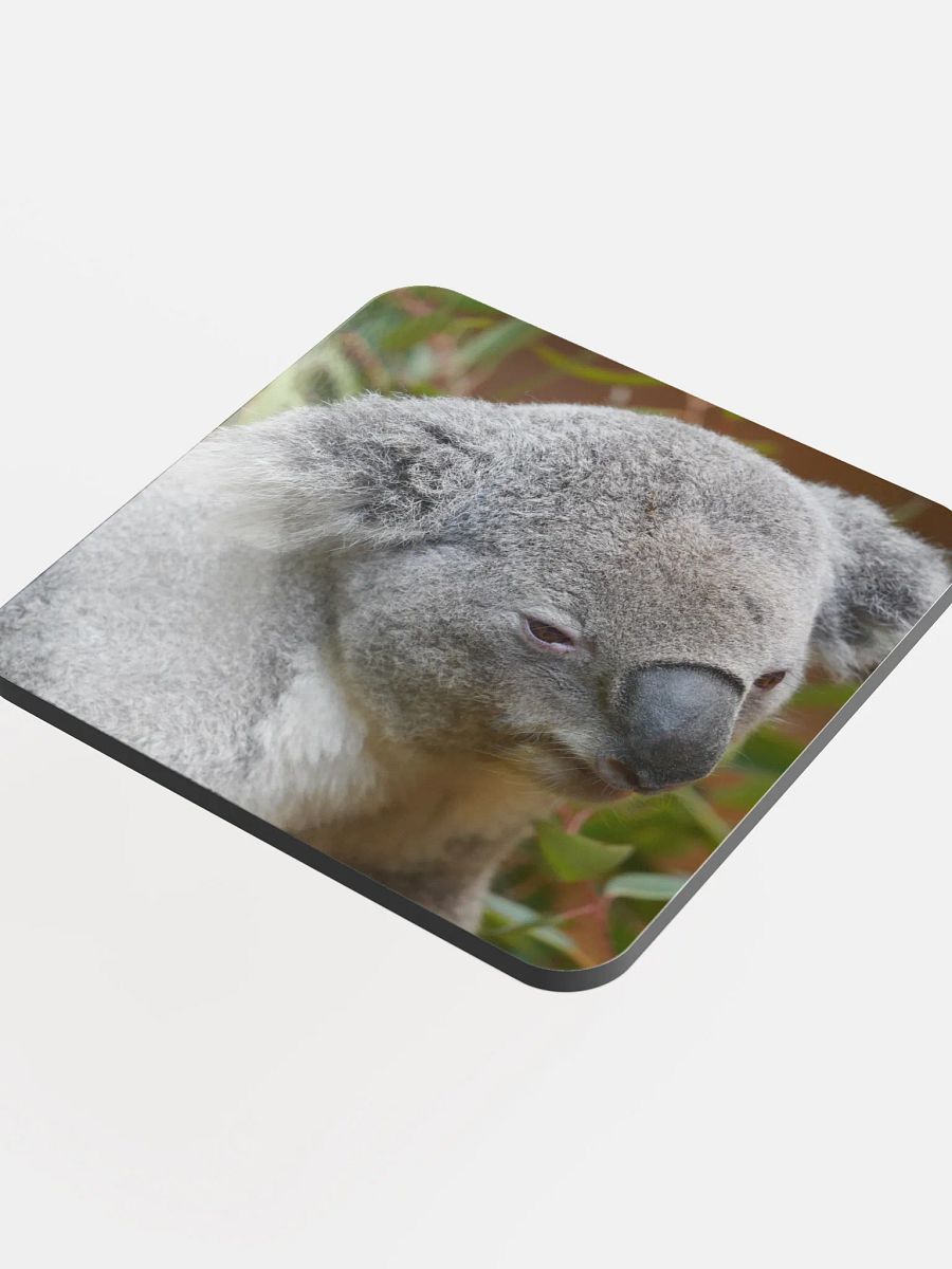 Koala Coaster product image (4)