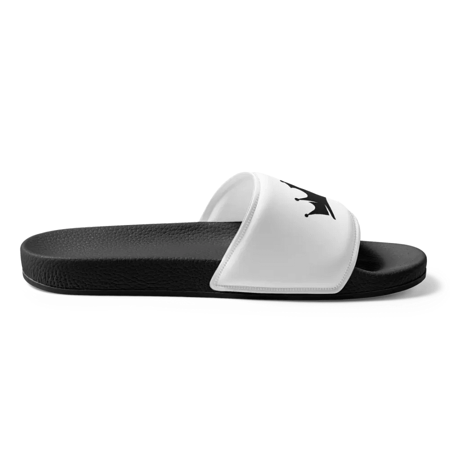 Talking Pounds SLIDDERS product image (7)