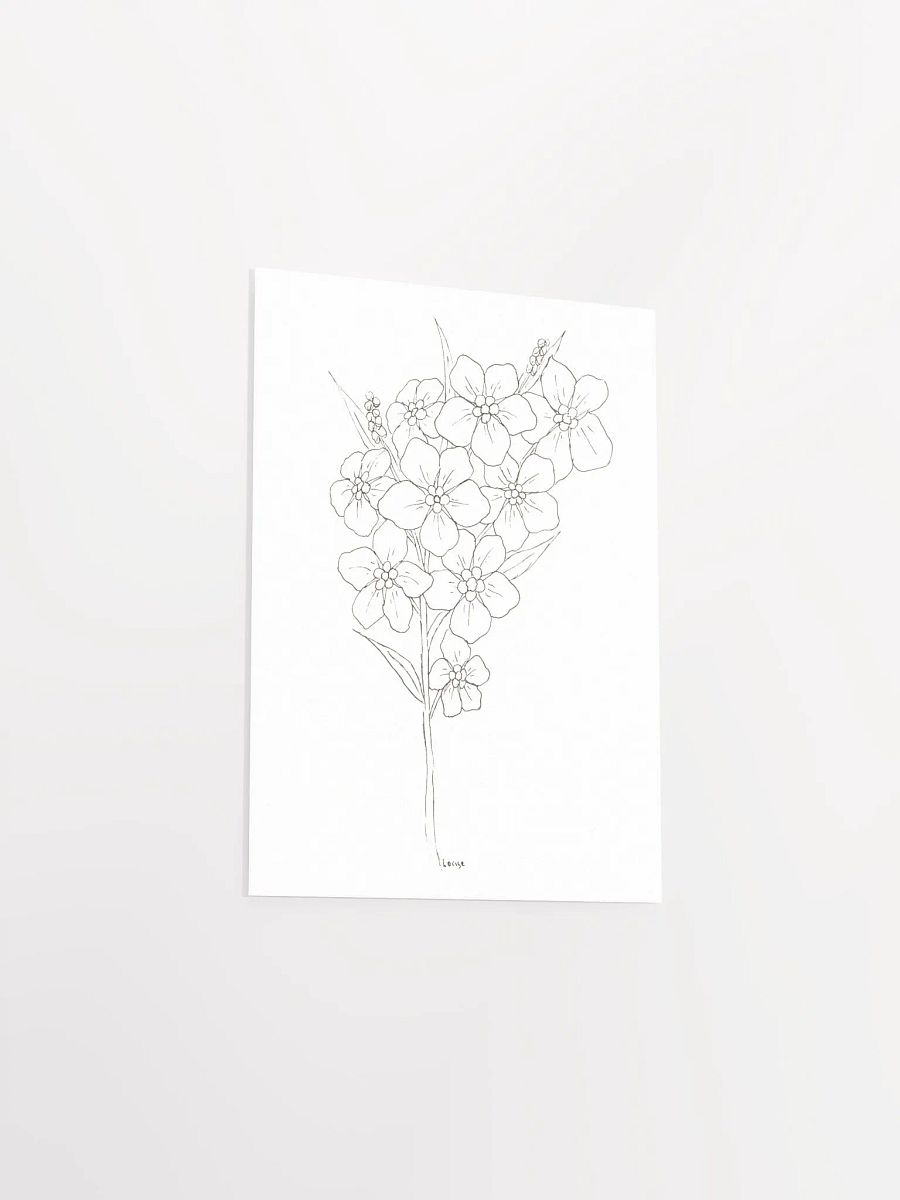 Forget-Me-Not Line Art Poster product image (3)