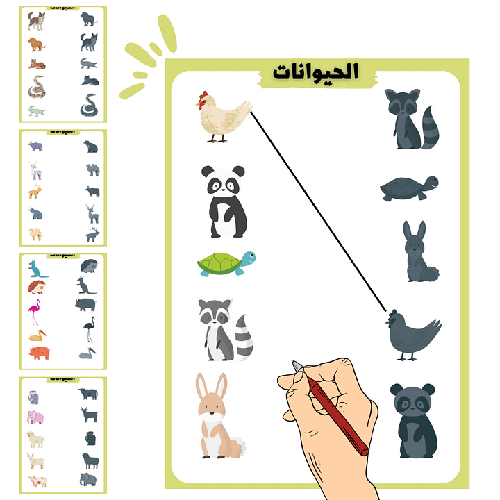 نشاط ملائمة صور الحيوانات للظل المناسب - pdf product image (1)
