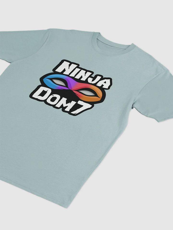 Ninja Premium Heavyweight Tee product image (1)