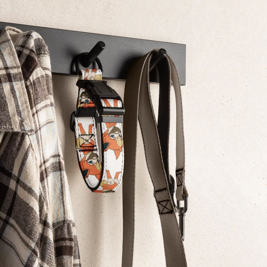 FLARRID DOG COLLARS product image (6)