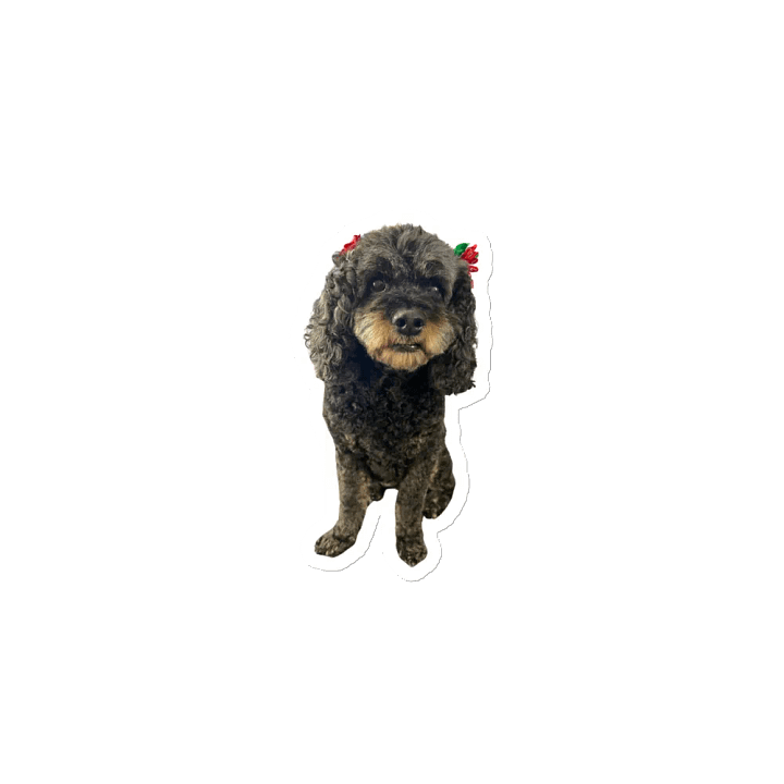 Cute Belle Magnet product image (2)