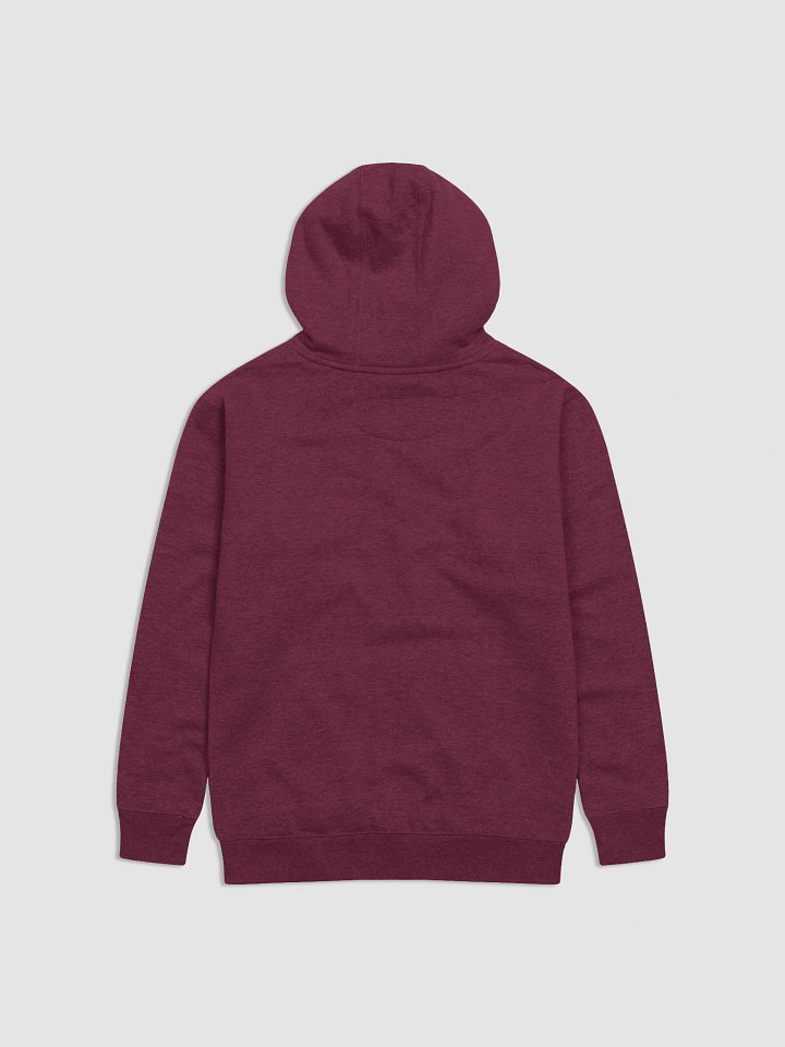 Why go to Heaven Unisex Premium Regular Fit Hoodie product image (17)