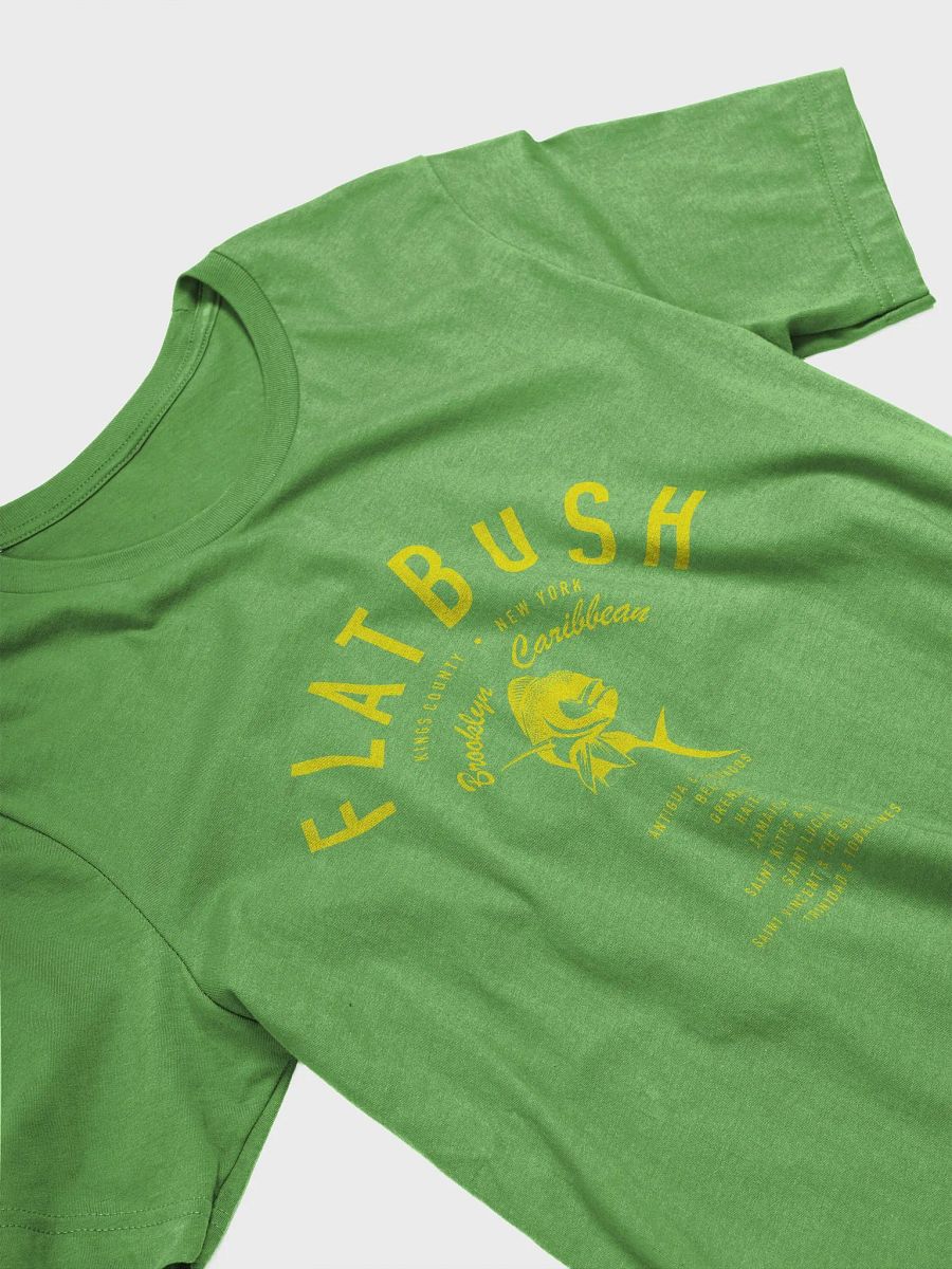 Flatbush Brooklyn Caribbean Jason product image (3)