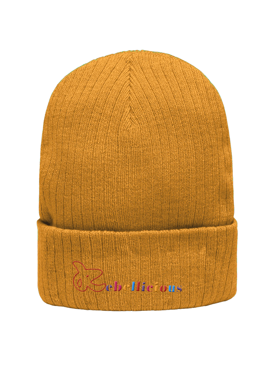 Rebellicious Ribbed Beanie product image (19)