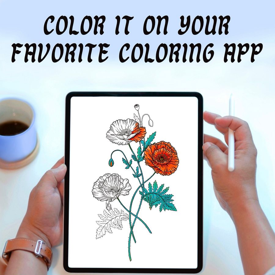 Poppy Coloring Pages, Hand Drawn, Set of 3 product image (7)