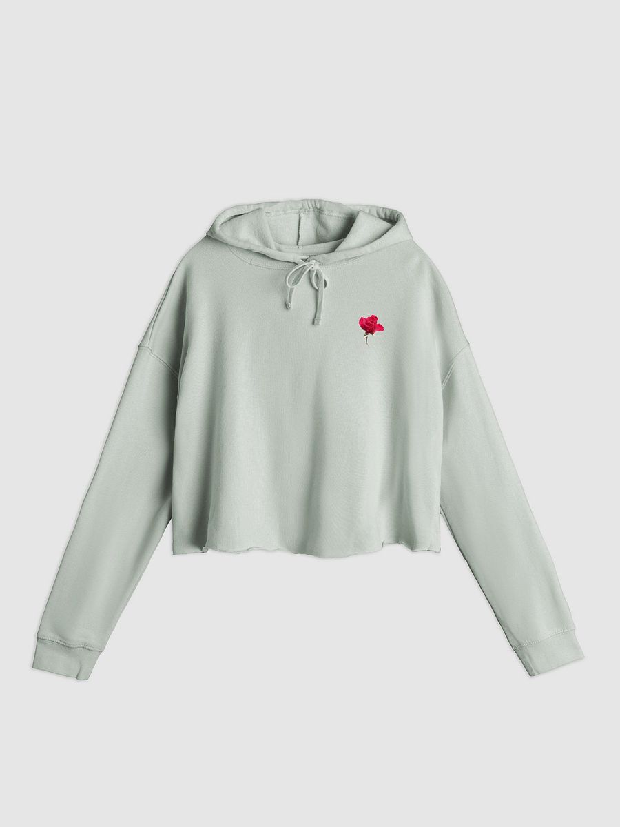 TROIB Cropped Hoodie in blue product image (3)