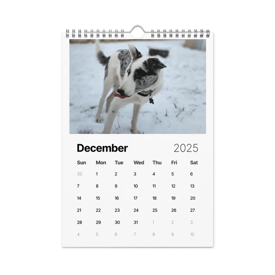2025 Doggo Calendar product image (4)
