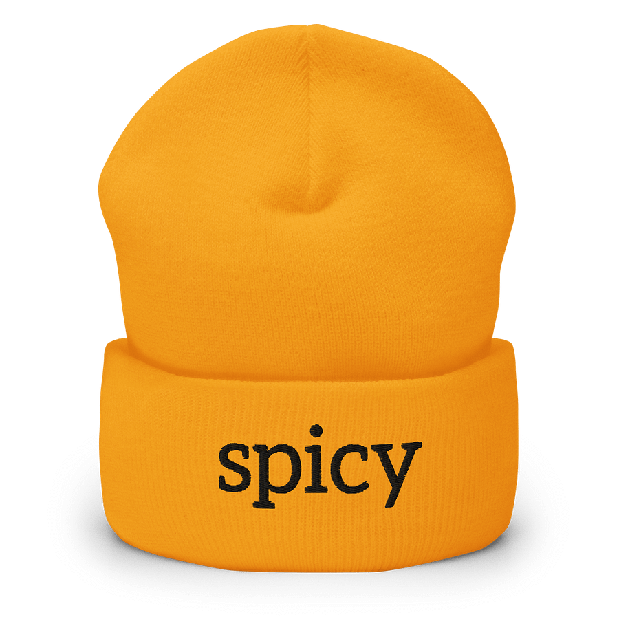 “Spicy” Cuffed Beanie (Black) product image (1)
