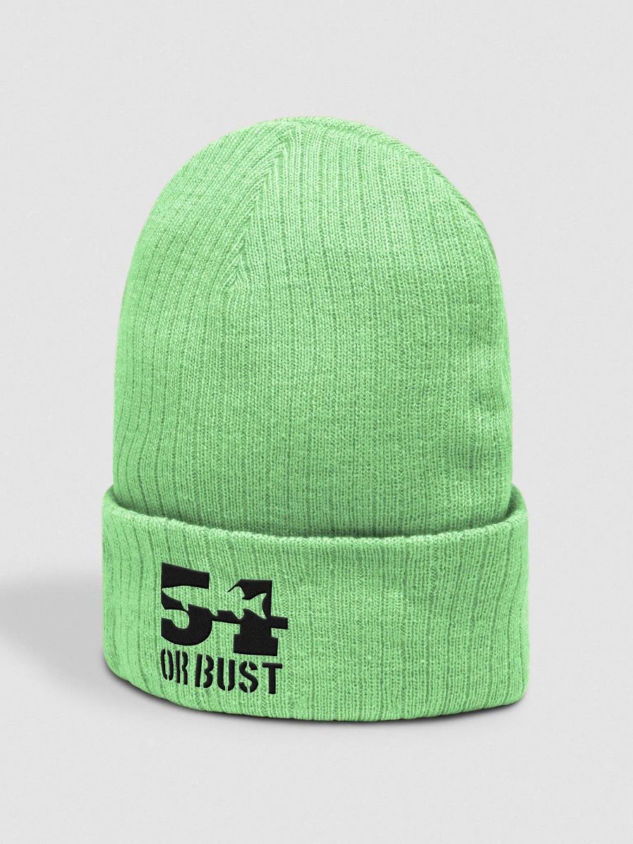 Eco-Friendly 54 or Bust Knit Beanie product image (5)