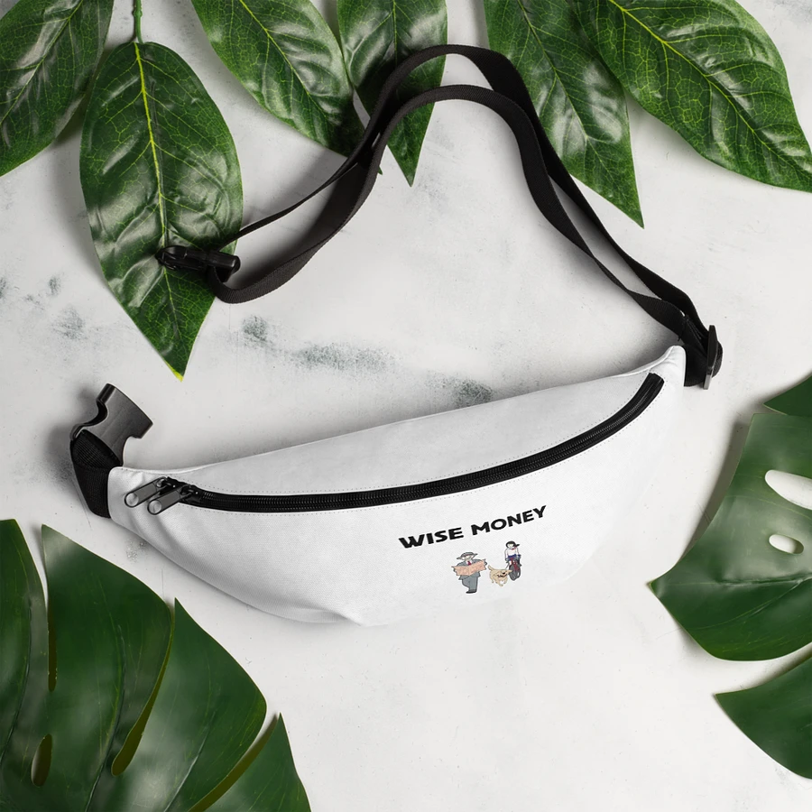Wise Money Fanny Pack product image (4)