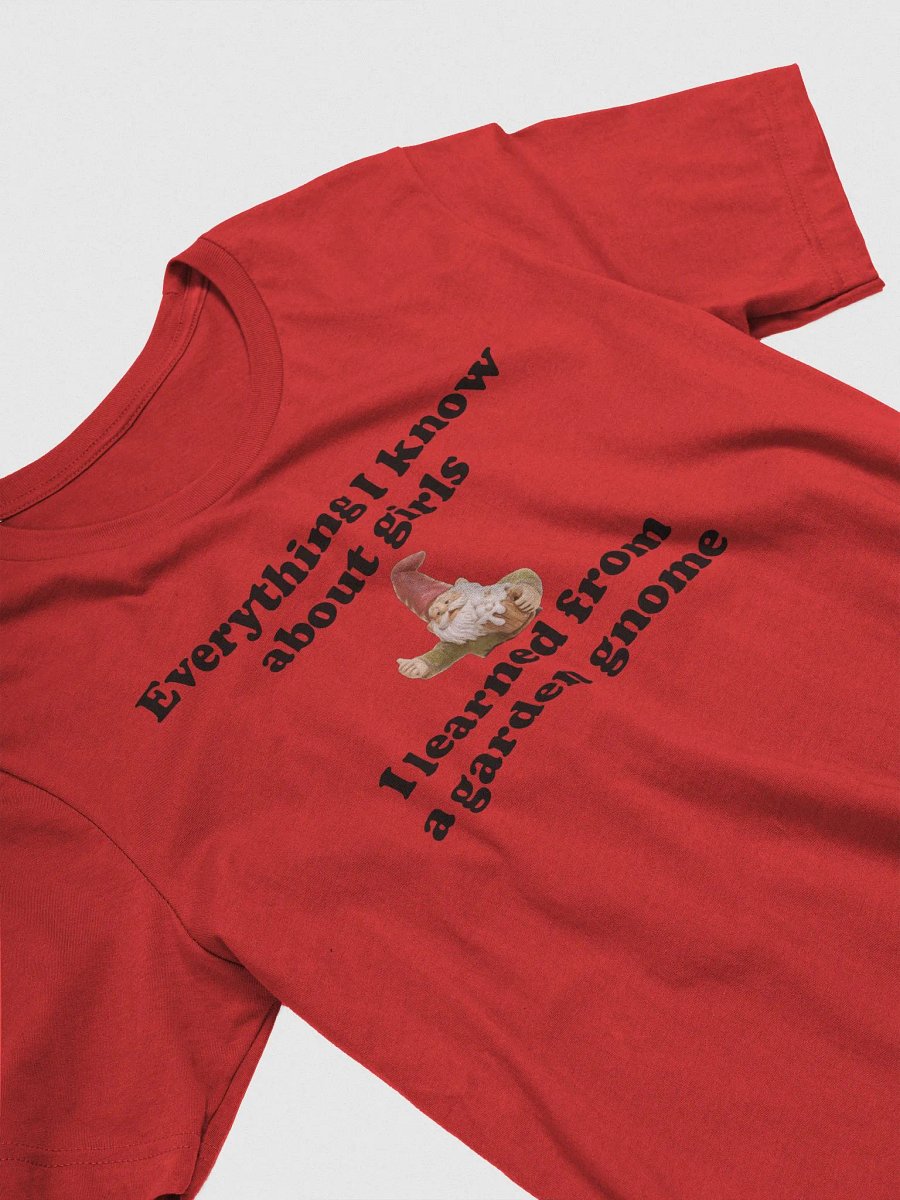 Everything I know about girls supersoft unisex t-shirt product image (4)