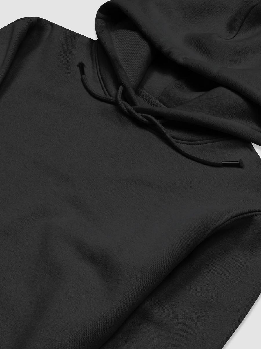 Anchored Eco Hoodie product image (3)