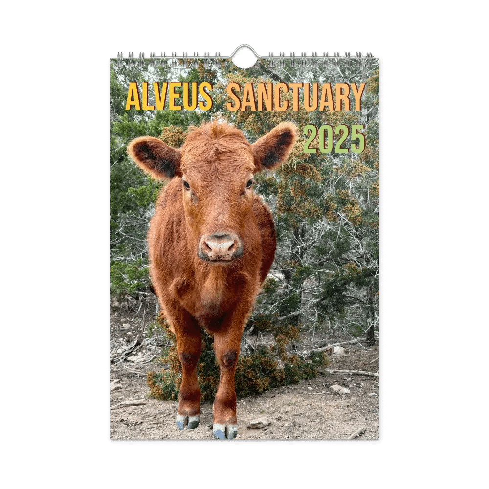 Alveus 2025 Calendar product image (35)