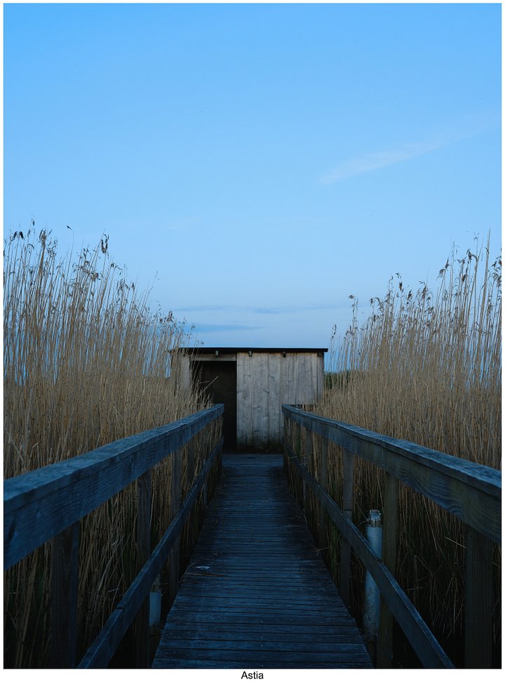 Fujify [Nikon] Lightroom Profiles - Complete Pack product image (2)