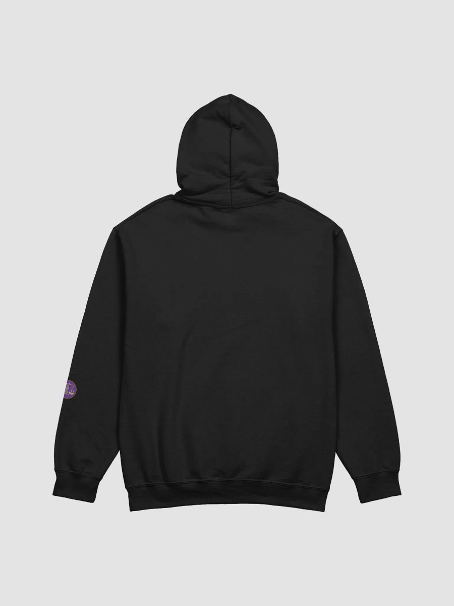 Currently pursuing... HOODIE product image (4)
