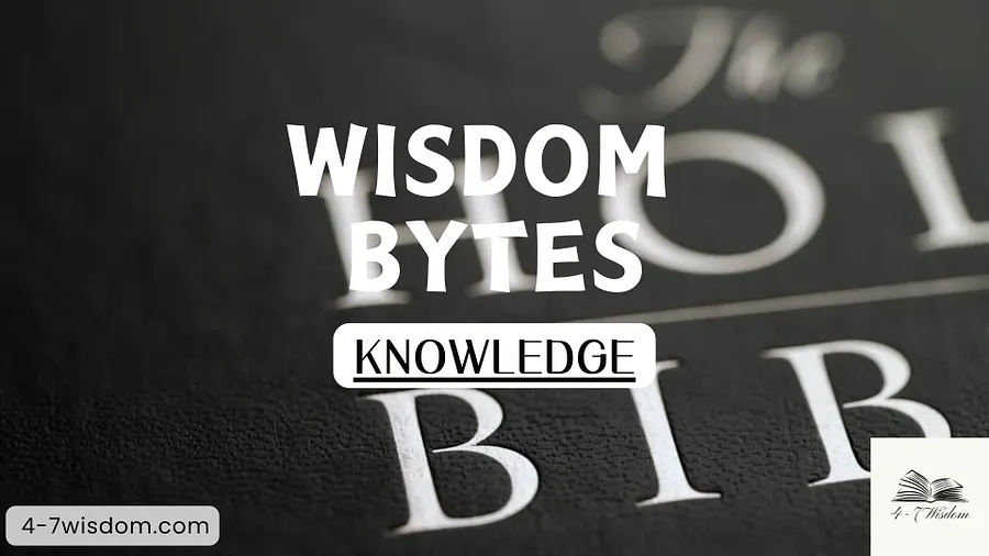 Wisdom Bytes: Knowledge product image (1)