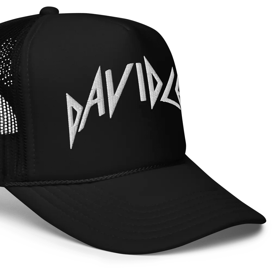David Lee Embroidered Hat product image (8)