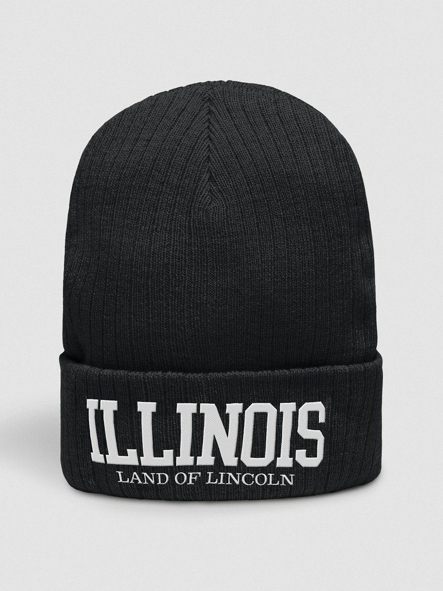 Illinois Land of Lincoln Eco-Threaded Ribbed Beanie product image (2)