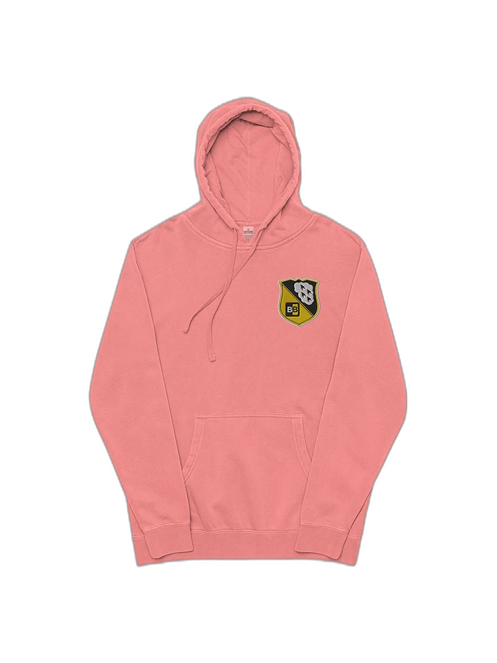 TBB (Embroidered) Look, hoodies are nice. product image (1)