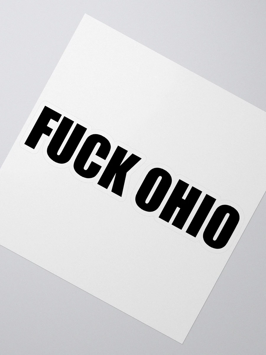 Literally a GIANT Fuck ohio sticker product image (2)