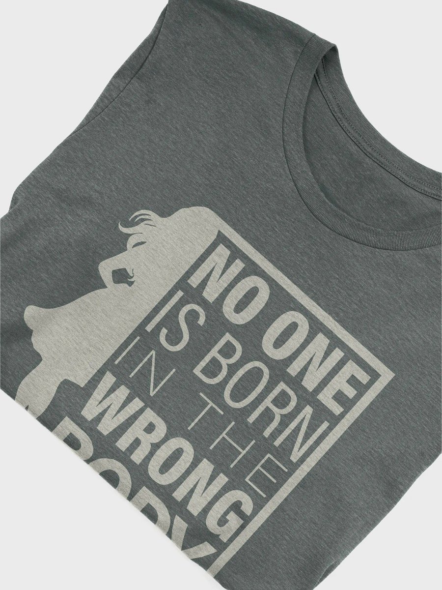 No One is Born in the Wrong Body - Positive Message Bella Canvas Tee product image (18)
