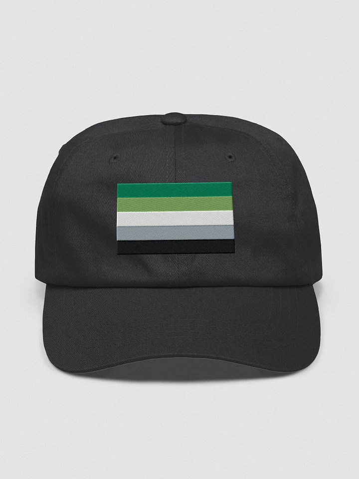 Aromantic Pride Flag - Embroidered Hat product image (1)