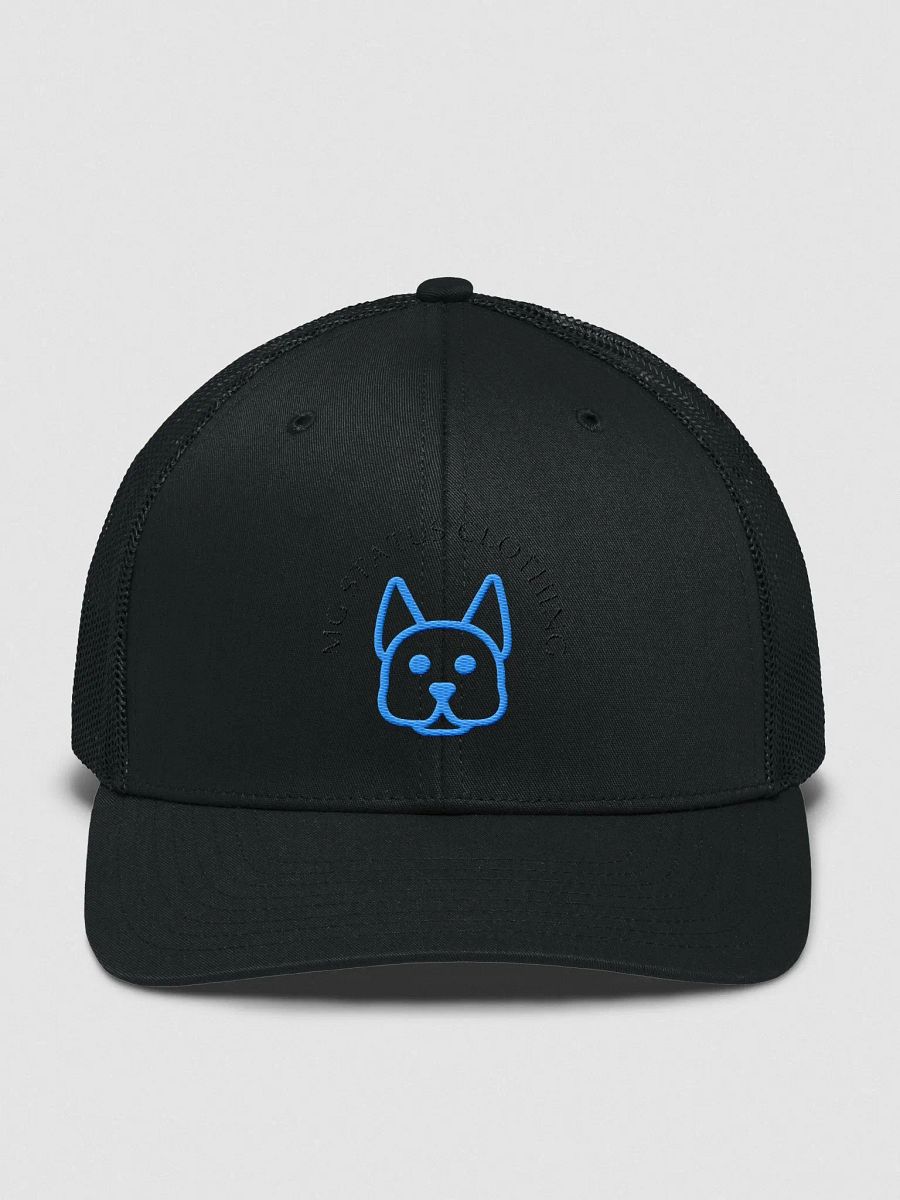 Iconic Snapback hat product image (1)
