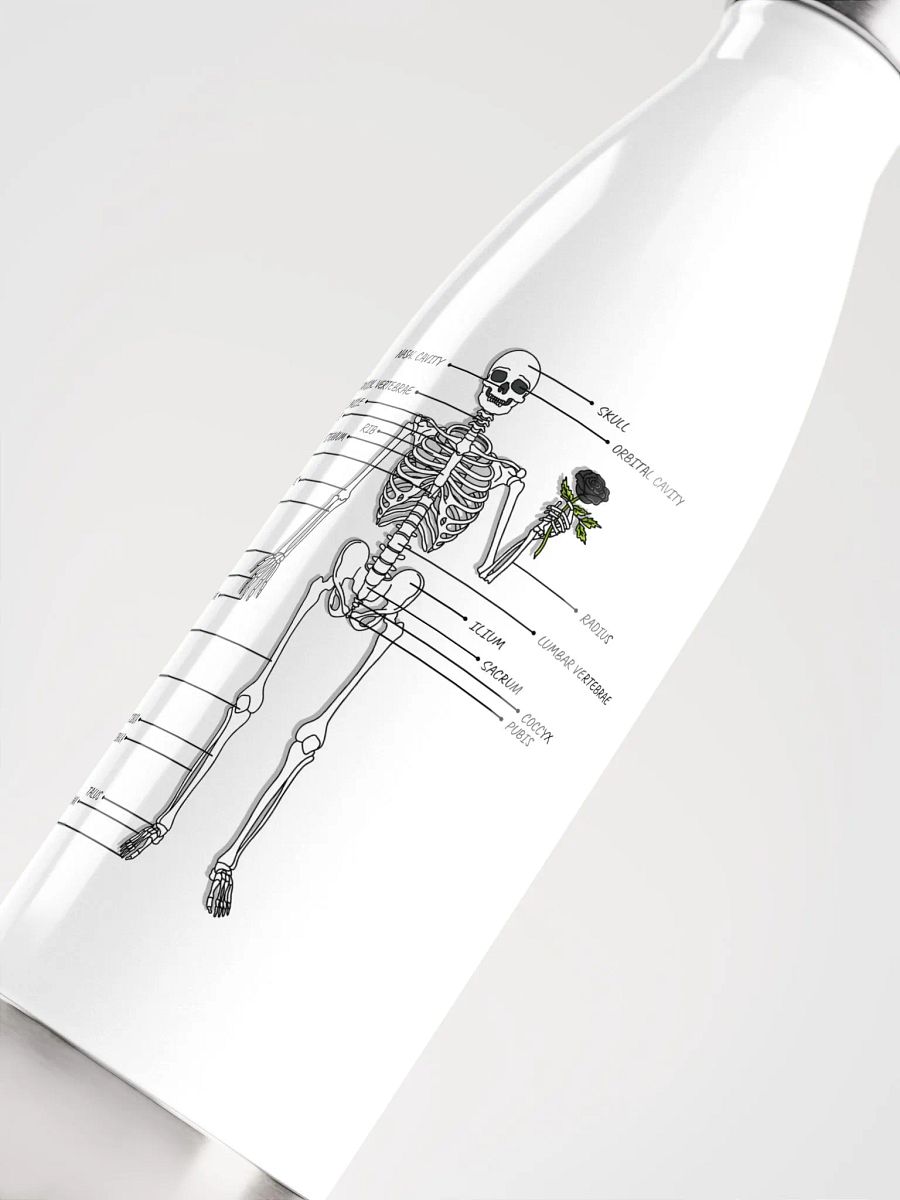 Hello and Welcome Bottle product image (5)