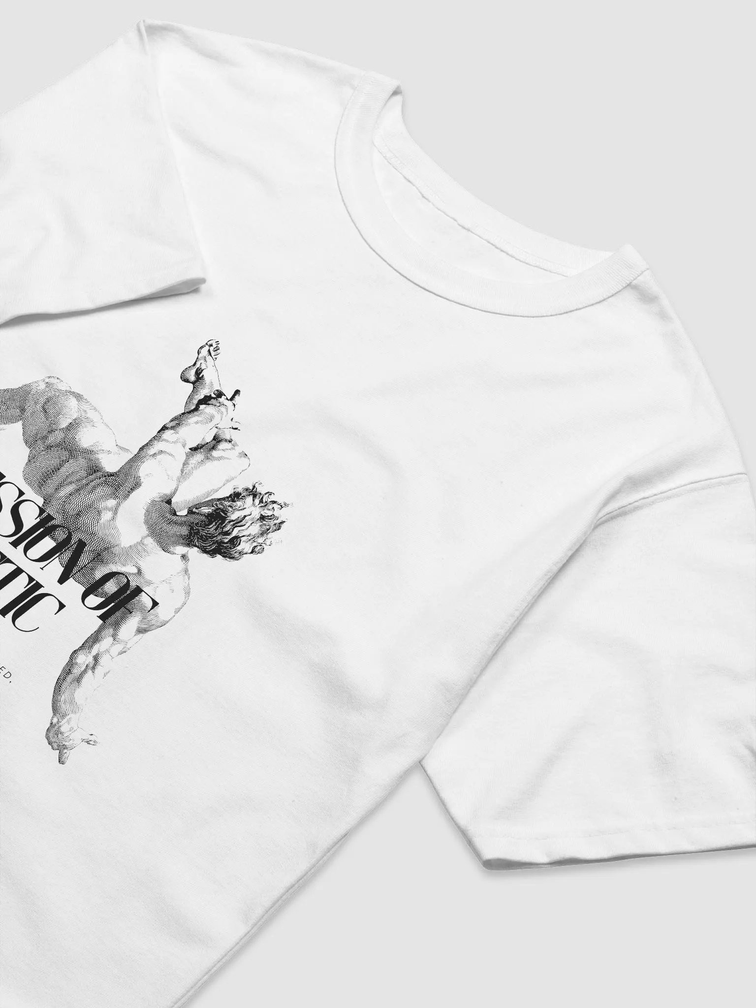 Freefall - Champion Relaxed-Fit T-Shirt v.2 product image (5)