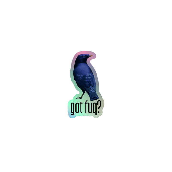 Ron Collection - Holographic Sticker product image (1)