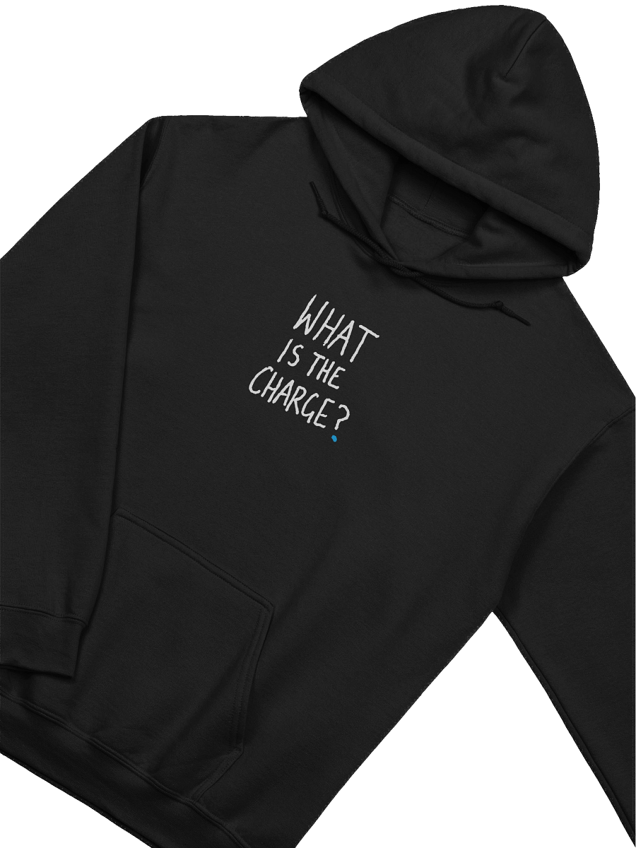 Official Garn 'What Is The Charge' Hoodie product image (3)