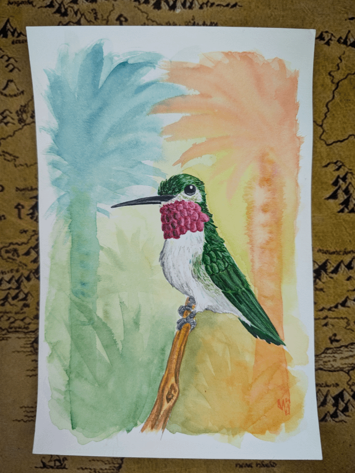 Hummingbird product image (1)