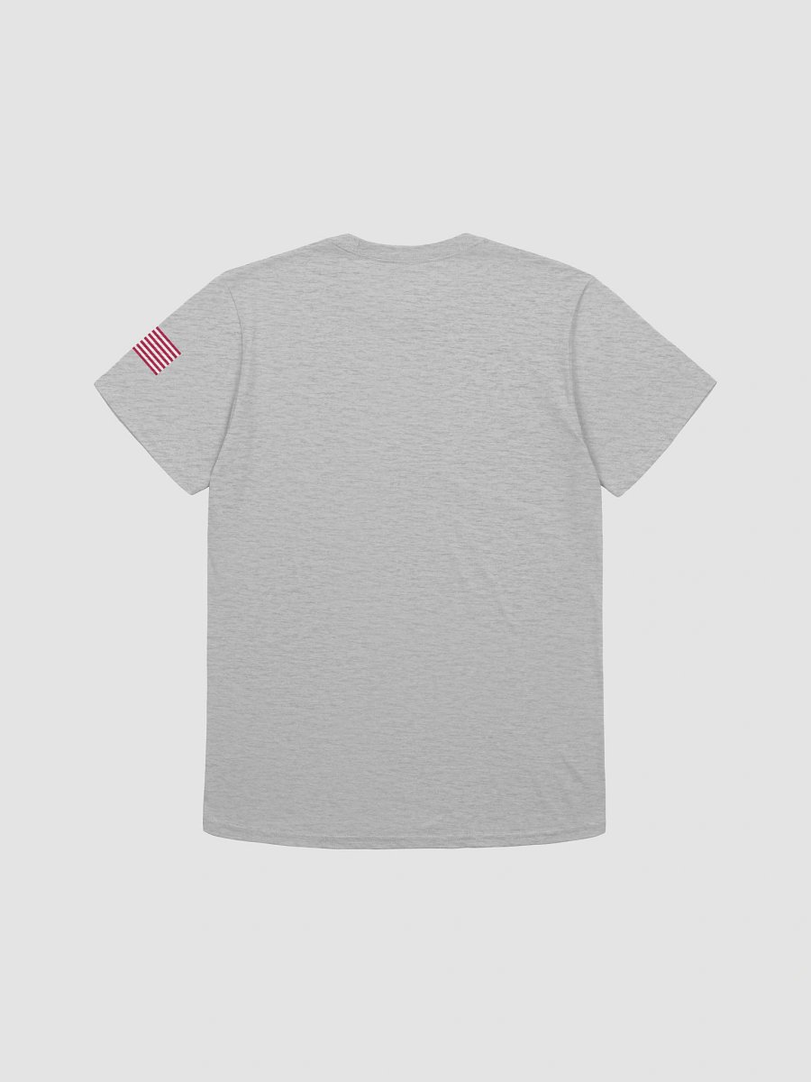Authentic Apparel T-shirt product image (122)
