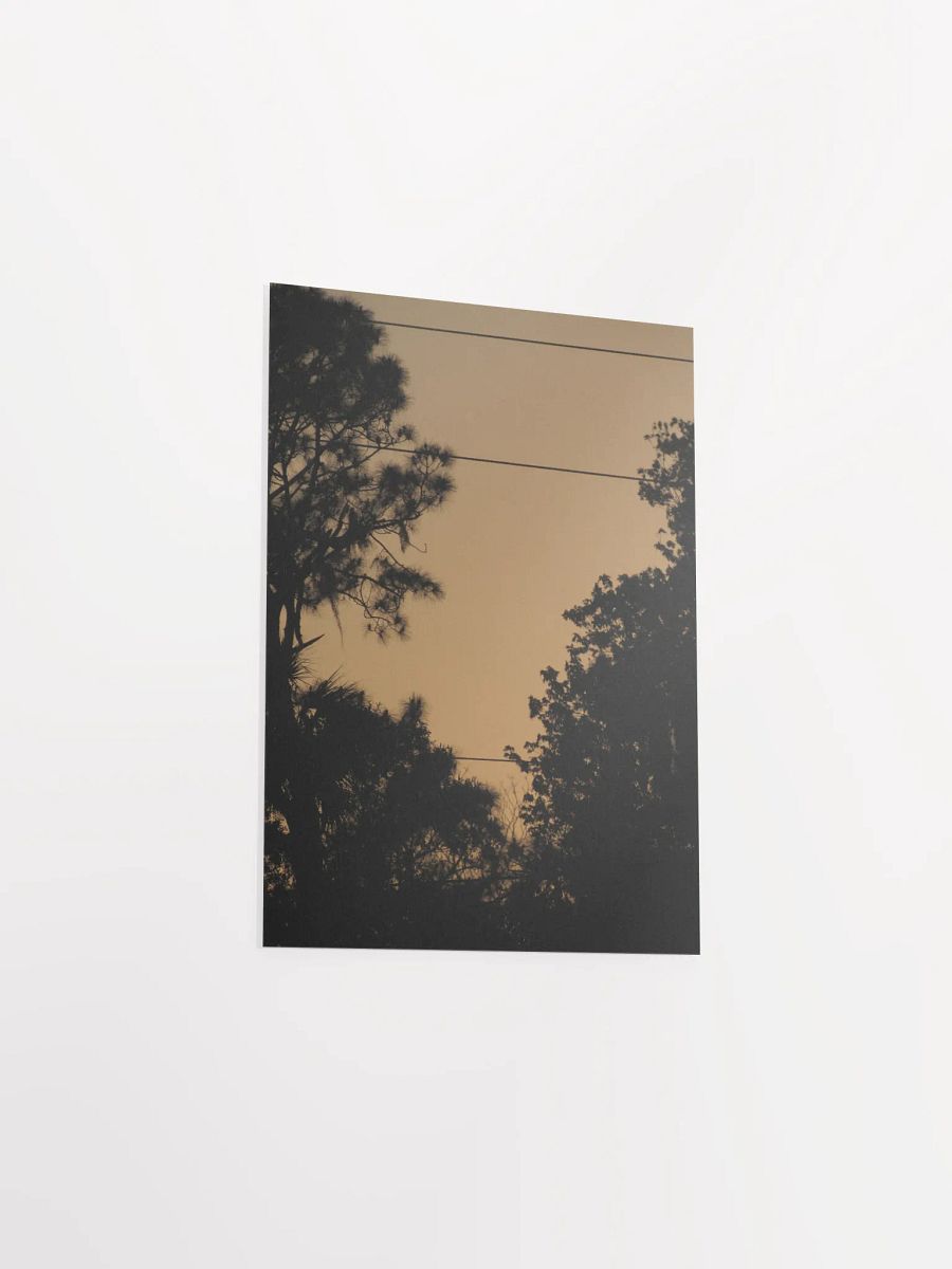 FL Orange Sky product image (34)